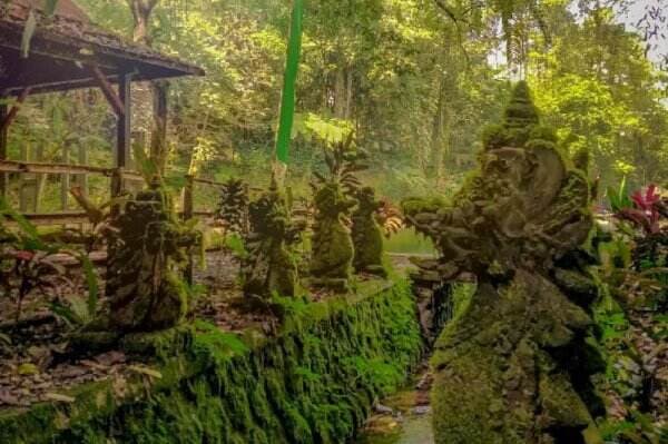 5 Fakta Menarik Rowo Bayu Banyuwangi, Daerah yang Dipercaya Lokasi Asli KKN Desa Penari 5 Fakta Menarik Rowo Bayu Banyuwangi, Daerah yang Dipercaya Lokasi Asli KKN Desa Penari