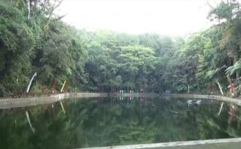 5 Fakta Rowo Bayu Banyuwangi, Diduga Lokasi Asli KKN di Desa Penari 5 Fakta Rowo Bayu Banyuwangi, Diduga Lokasi Asli KKN di Desa Penari