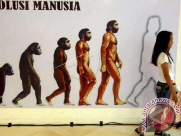 Asal Usul Nenek Moyang Manusia: dari Ikan Purba, Kera, atau Nabi Adam dan Hawa? Asal Usul Nenek Moyang Manusia: dari Ikan Purba, Kera, atau Nabi Adam dan Hawa?