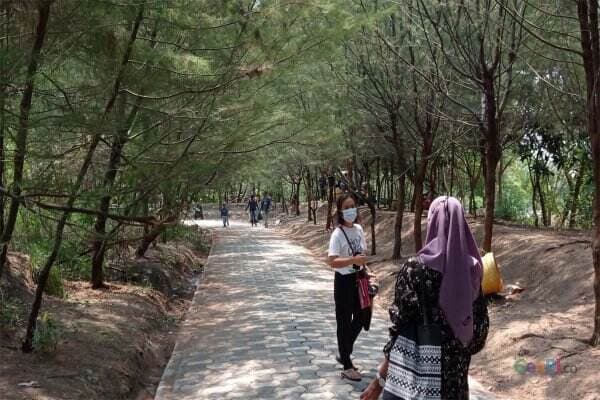 Hutan Mangrove Wonorejo Surabaya, Cocok untuk Lepas Penat