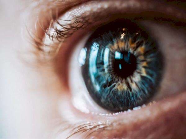 Mengenal Buta Warna Parsial, Gangguan Penglihatan yang Bikin Calon Bintara Gagal Seleksi Mengenal Buta Warna Parsial, Gangguan Penglihatan yang Bikin Calon Bintara Gagal Seleksi