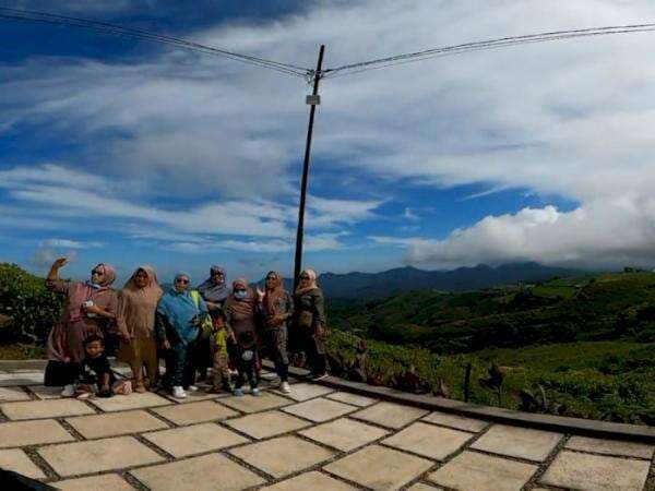 Bangga! Teh Langka dan Terbaik di Dunia Ternyata Ada di Sulawesi Bangga! Teh Langka dan Terbaik di Dunia Ternyata Ada di Sulawesi