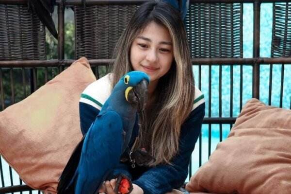 5 Fakta Jacqueline Wijaya, TikToker yang Punya Koleksi Burung Senilai Miliaran Rupiah 5 Fakta Jacqueline Wijaya, TikToker yang Punya Koleksi Burung Senilai Miliaran Rupiah