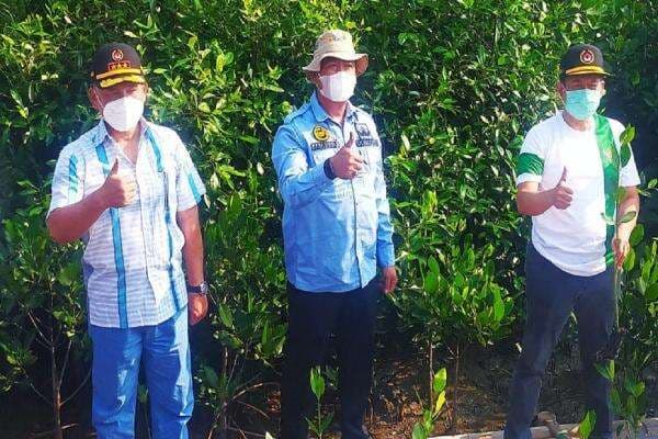 Pemkab Kembali Tanam Mangrove di Ketapang Urban Aquaculture Pemkab Kembali Tanam Mangrove di Ketapang Urban Aquaculture