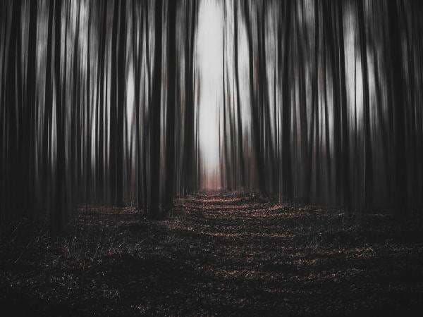 Cerita Horor Pohon Angker, Tak Bisa Ditebang Sampai Gergaji Patah Cerita Horor Pohon Angker, Tak Bisa Ditebang Sampai Gergaji Patah