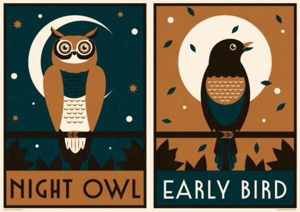 Mengenal Apa itu Early Bird dan Night Owl, Mana yang Lebih Baik?