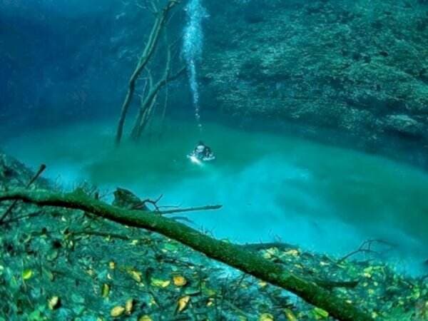 Ada Sungai Di Bawah Laut, Kok Bisa?