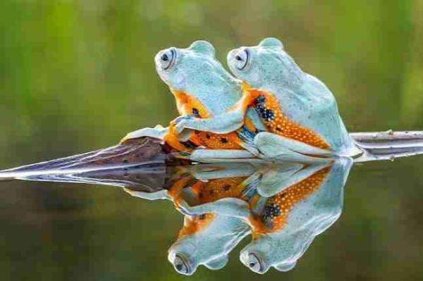 Malam Jumat, Coba Posisi Leapfrog Sex yang Menyenangkan! Malam Jumat, Coba Posisi Leapfrog Sex yang Menyenangkan!