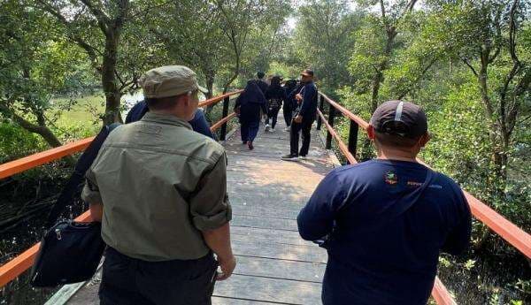 Hutan Mangrove Karangsong Indramayu Miliki Daya Tarik Tinggi, Jadi Wisata Edukasi Hutan Mangrove Karangsong Indramayu Miliki Daya Tarik Tinggi, Jadi Wisata Edukasi