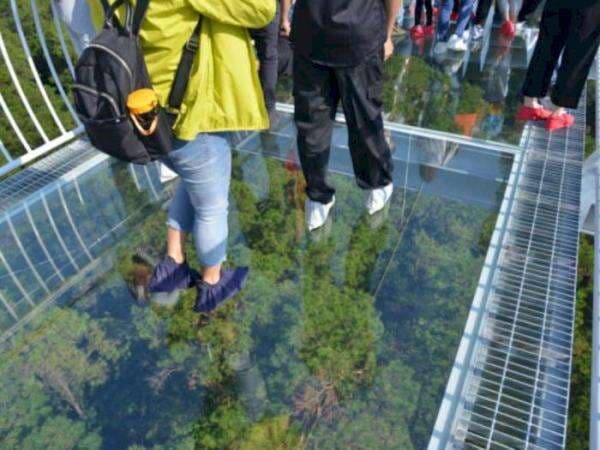 Keren! Jembatan Kaca Pertama di Indonesia Bakal Dibangun di Kawasan Wisata Bromo Keren! Jembatan Kaca Pertama di Indonesia Bakal Dibangun di Kawasan Wisata Bromo