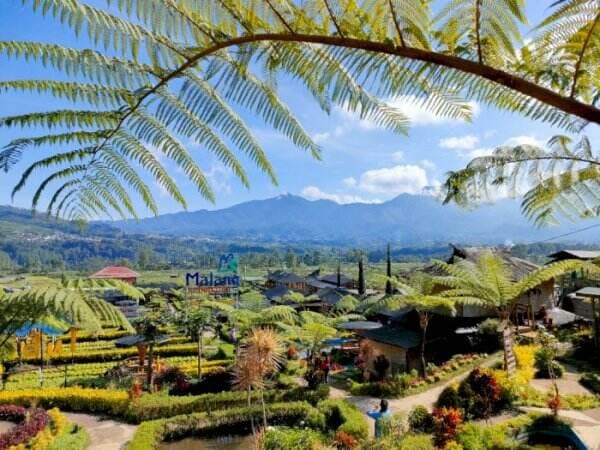 Sejuk! Kafe Unik dengan Konsep Sawah, View-nya Empat Gunung