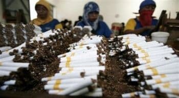 Produksi Meningkat, Sri Mulyani Kenakan Tarif Cukai Rokok Kemenyan