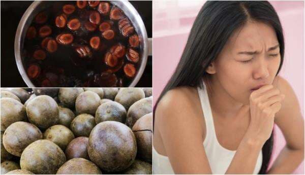 Fakta Lo Han Kuo, Buah Panjang Umur yang Dipercaya Manjur Redakan Batuk dan Demam Fakta Lo Han Kuo, Buah Panjang Umur yang Dipercaya Manjur Redakan Batuk dan Demam