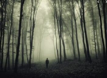 Cerita Pendaki Gunung Arjuno Tersesat dan Masuk Hutan Alam Gaib Cerita Pendaki Gunung Arjuno Tersesat dan Masuk Hutan Alam Gaib