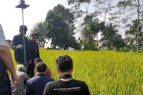 Dosen ITT Telkom Purwokerto Ciptakan Alat Pengusir Burung di Area Persawahan