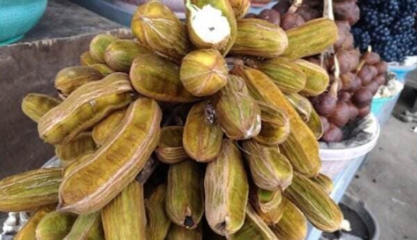 Ice Cream Bean, Buah yang Hanya Tumbuh di Bali dan Punya Khasiat yang Luar Biasa