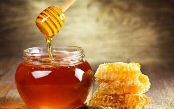 3 Mitos Salah soal Madu, Salah Satunya soal Dikerbungi Semut 3 Mitos Salah soal Madu, Salah Satunya soal Dikerbungi Semut