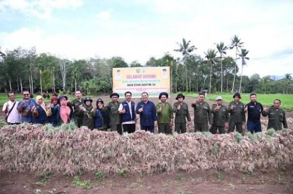 Kota Padang Sidempuan Cocok untuk Budidaya Bawang Merah