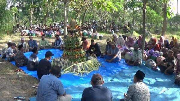 Rebutan Gunungan Warnai Tradisi Sedekah Bumi Rebutan Gunungan Warnai Tradisi Sedekah Bumi