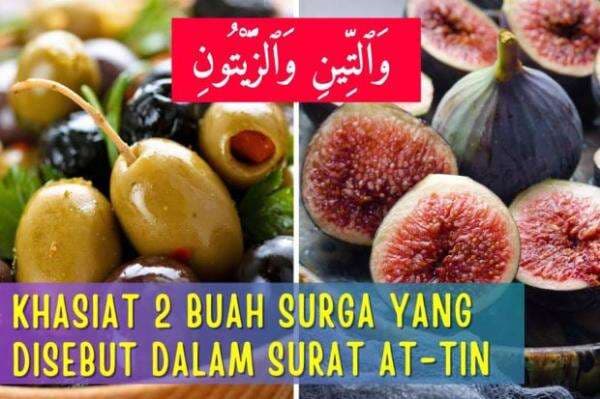 Wattini Wazzaitun! Dua Buah yang Diberkahi, Ini Keistimewaannya Wattini Wazzaitun! Dua Buah yang Diberkahi, Ini Keistimewaannya