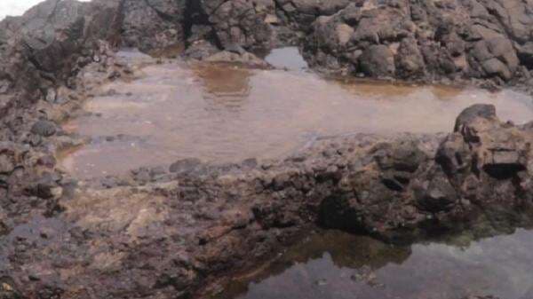 Legenda Tuan Tapa di Tapak Tuan, Kisah Syekh yang Dikenal Sakti Legenda Tuan Tapa di Tapak Tuan, Kisah Syekh yang Dikenal Sakti