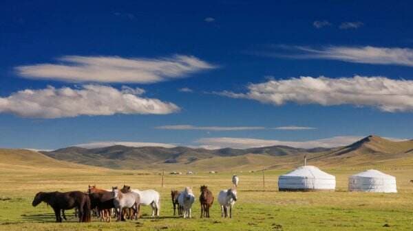 5 Fakta Unik tentang Mongolia, Negara di Asia Timur yang Dijuluki Tanah Langit Biru