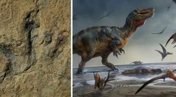 Ilmuwan Temukan Ribuan Jejak Kaki Dinosaurus Berusia 150 Juta Tahun di China