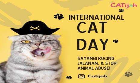 8 Agustus Diperingati sebagai Hari Kucing Sedunia. Simak Sejarahnya dan Pakai Twibbon Hari Kucing Yu