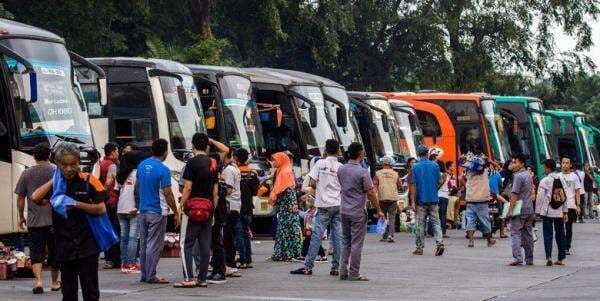 8 PO Bus Punya Penggemar Fanatik Ratusan Ribu di Media Sosial, Ini Paling Disukai Busmania 8 PO Bus Punya Penggemar Fanatik Ratusan Ribu di Media Sosial, Ini Paling Disukai Busmania