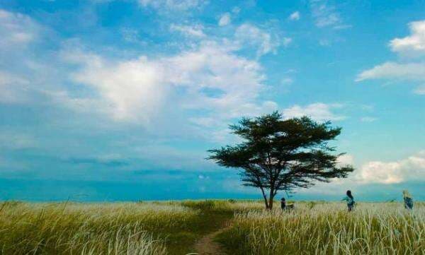 Rekomendasi Hidden Gem di Semarang Rekomendasi Hidden Gem di Semarang