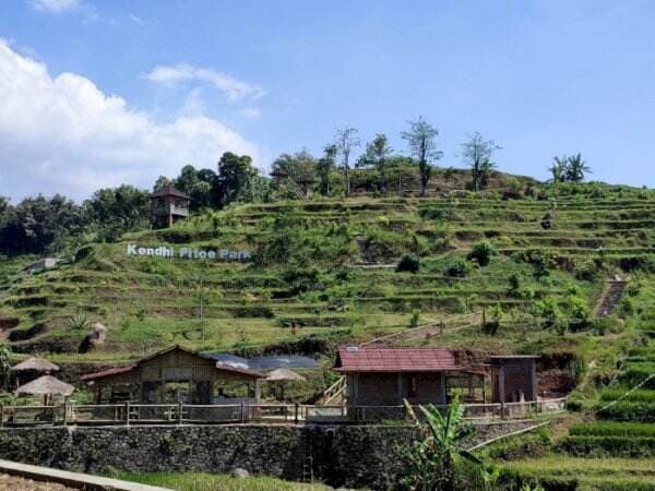 Di Tengah Sawah Ada Kolam dan Taman Sekeren Ini, Tiket Masuknya Bikin Tercengang!