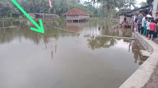 Bocah 5 Tahun Tewas Tenggelam saat Berenang di Kolam Ikan Pamannya di Kota Tasikmalaya Bocah 5 Tahun Tewas Tenggelam saat Berenang di Kolam Ikan Pamannya di Kota Tasikmalaya