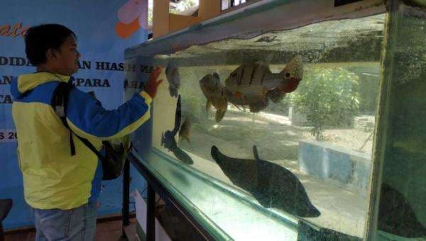 Andalan, Ikan Pedang Diekspor ke Amerika dan Korea Andalan, Ikan Pedang Diekspor ke Amerika dan Korea