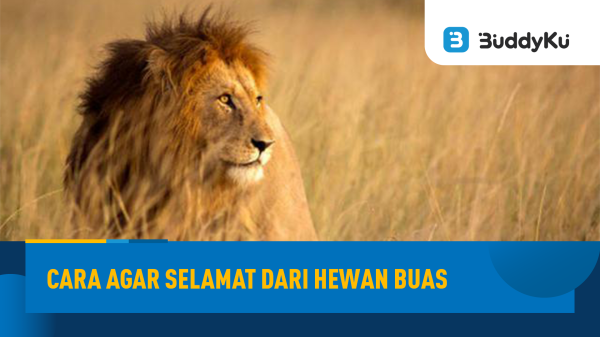 Angkat Tema Hewan Buas di film Beast, Berikut Cara Menyelamatkan Diri dari Hewan Buas Angkat Tema Hewan Buas di film Beast, Berikut Cara Menyelamatkan Diri dari Hewan Buas