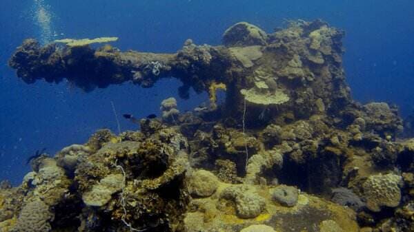 Bikini Atol, Tempat dengan Radiasi Nuklir Tertinggi yang Dijadikan Inspirasi Animasi SpongeBob SquarePants