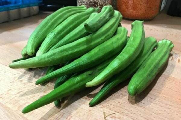 5 Khasiat Luar Biasa Tanaman Okra, Efektif Obati Diabetes 5 Khasiat Luar Biasa Tanaman Okra, Efektif Obati Diabetes