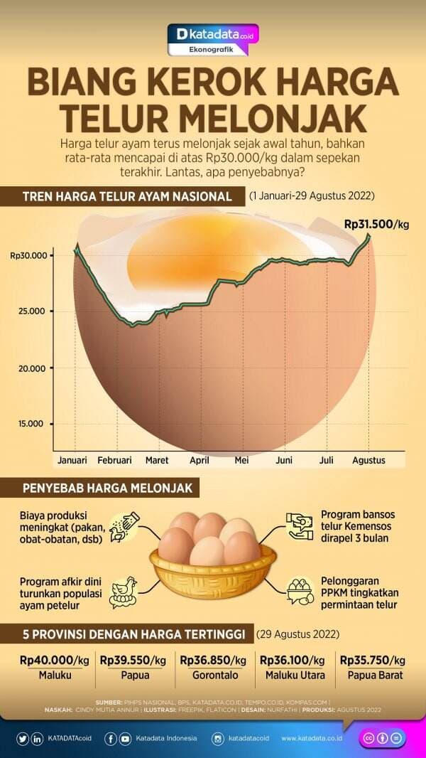 Biang Kerok Harga Telur Melonjak