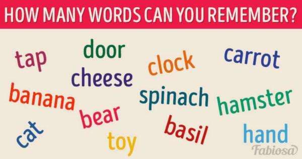 Tes Psikologi: Tes Ini Menguji Memori Anda, Berapa Banyak Kata yang Anda Kelola untuk Diingat? Tes Psikologi: Tes Ini Menguji Memori Anda, Berapa Banyak Kata yang Anda Kelola untuk Diingat?