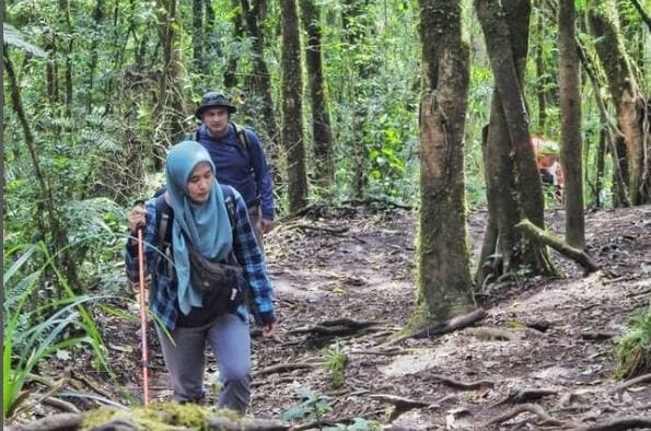 Jalur Pendakian Baru Gunung Ciremai Diminati Pendaki, Sajikan Padang Savana di Ketinggian 2.670 Mdpl Jalur Pendakian Baru Gunung Ciremai Diminati Pendaki, Sajikan Padang Savana di Ketinggian 2.670 Mdpl