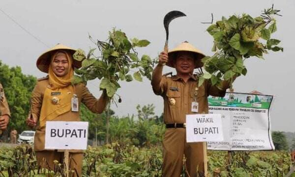 Genjot Sektor Pertanian, Bupati Demak Ajak Petani Menanam Cerdas dan Inovatif