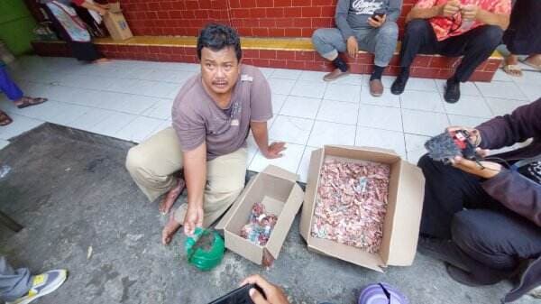 Nyesek Pol! Disimpan di Celengan Plastik, Uang Tabungan Milik Penjaga Sekolah di Solo Rusak Dimakan Rayap