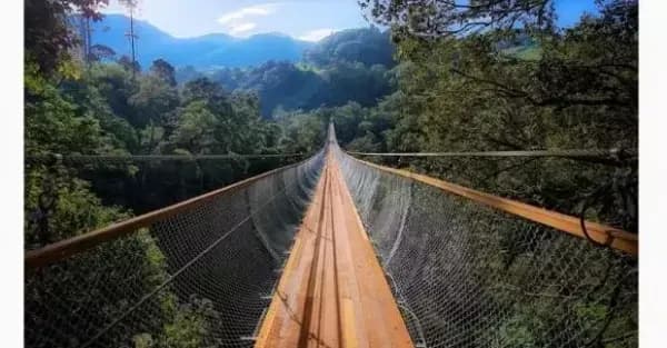 Mengenal Wisata Baru Jawa Barat, Rengganis Jadi Jembatan Gantung Tertinggi se-Asia