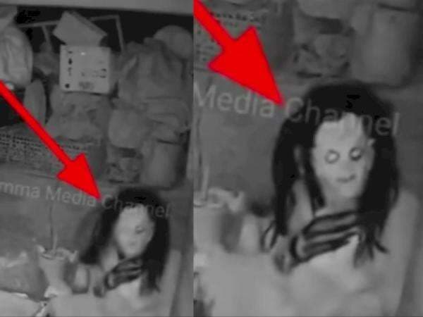 Penampakan Sosok Mengerikan Lahap Menyantap Ayam di Kandang, Kolong Wewe? Penampakan Sosok Mengerikan Lahap Menyantap Ayam di Kandang, Kolong Wewe?