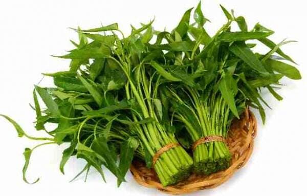 Nggak Disangka, Ini 15 Manfaat Sayur Kangkung Bagi Kesehatan! Nggak Disangka, Ini 15 Manfaat Sayur Kangkung Bagi Kesehatan!