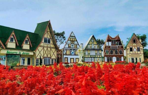 Daftar Hotel Sekitar Wisata Flora Santerra de Laporte Kota Batu, Banyak Pilihannya Daftar Hotel Sekitar Wisata Flora Santerra de Laporte Kota Batu, Banyak Pilihannya