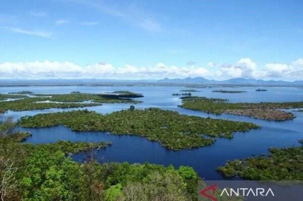 Ada Parade Perahu Tradisional hingga Ritual Tolak Bala di Festival Danau Sentarum