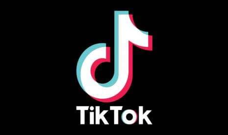 Gunakan Snaptik untuk Download Video TikTok Tanpa Watermark Kualitas HD Gunakan Snaptik untuk Download Video TikTok Tanpa Watermark Kualitas HD