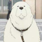 7 Fakta Bond, Anjing Peliharaan Keluarga Foger Spy x Family! 7 Fakta Bond, Anjing Peliharaan Keluarga Foger Spy x Family!