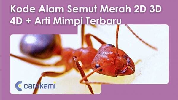 10+ Kode Alam Semut Merah 2D 3D 4D + Arti Mimpi Terbaru 10+ Kode Alam Semut Merah 2D 3D 4D + Arti Mimpi Terbaru
