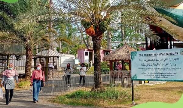 5 Tempat wisata di Pasuruan yang Wajib Dikunjungi, Ada Kebun Kurma